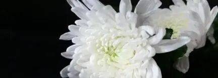 烏軍士兵喬裝成俄軍<strong></p>
<p>機(jī)械制造
</strong>，與俄士兵寒暄，隨后趁其不備將兩名俄軍殺，無(wú)人機(jī)拍下全過(guò)程:機(jī)械制造
